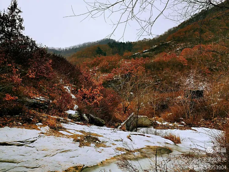 盖州小石棚洼岭